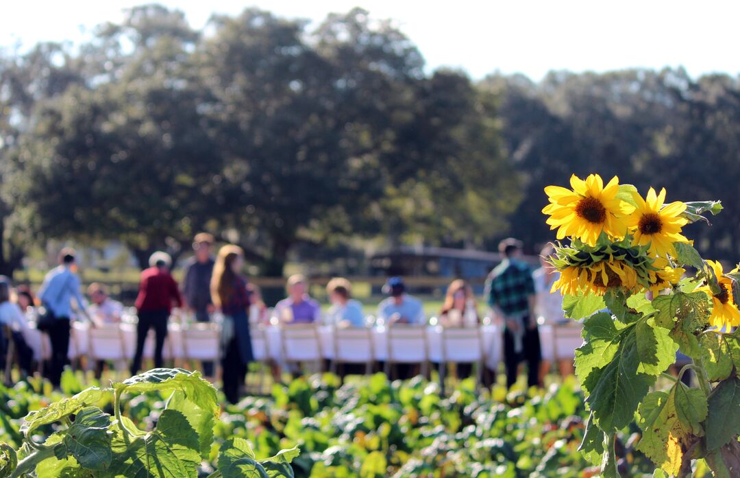 Dining Event at Beasley Farm, Brooksville