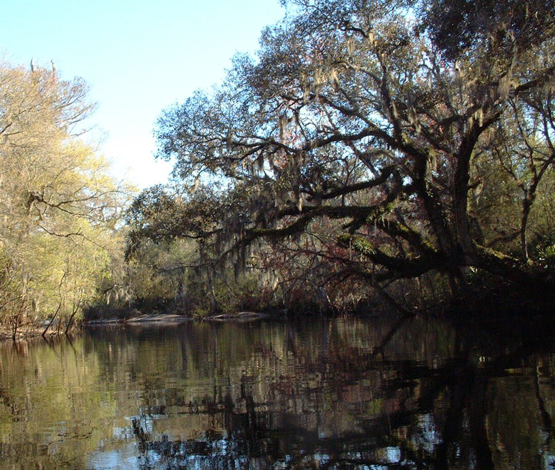 Withlacoochee River