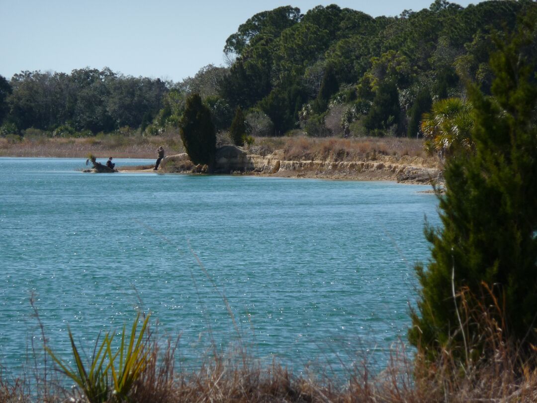 Weeki Wachee Preserve (4)