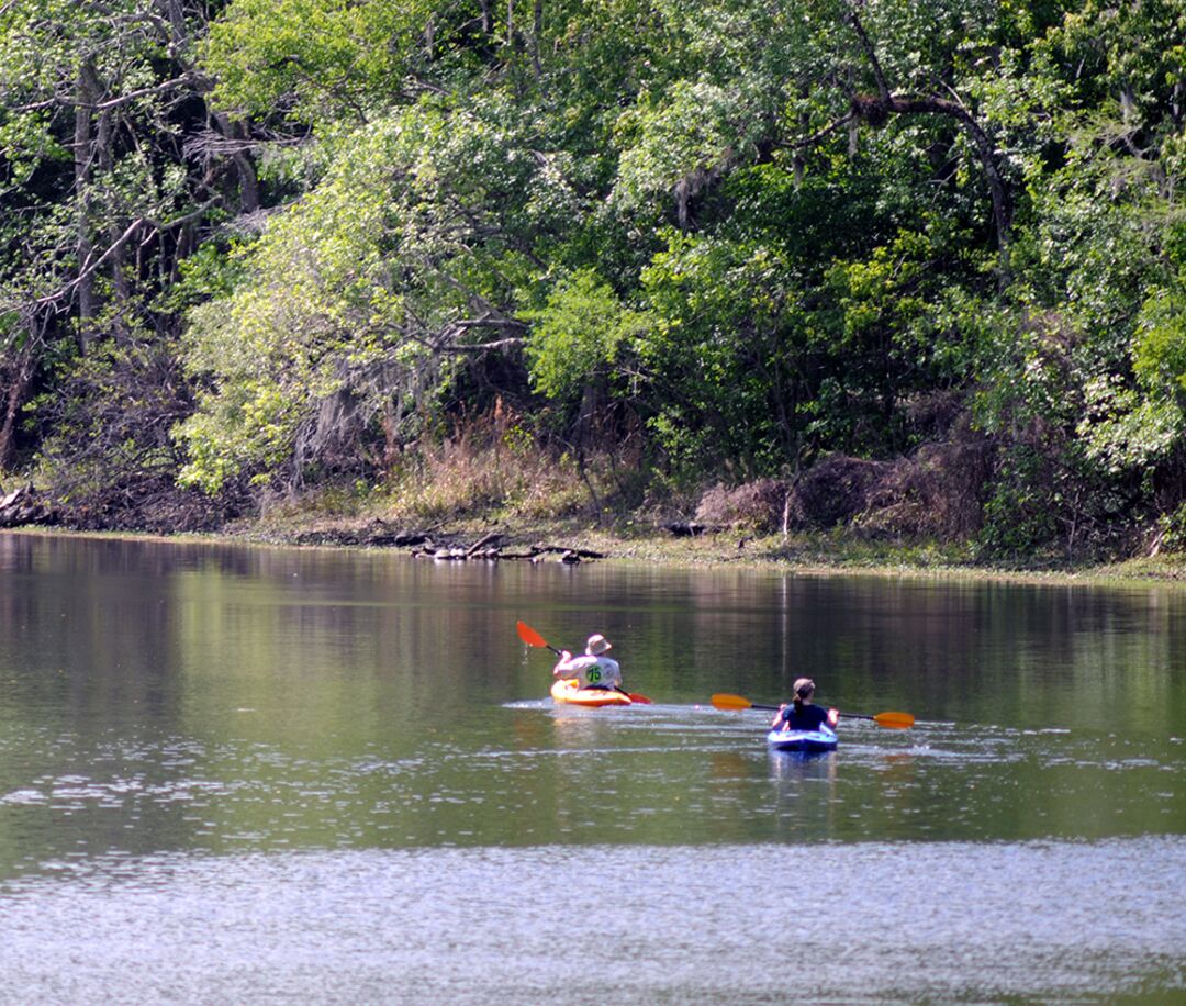 Withlacoochee WMA