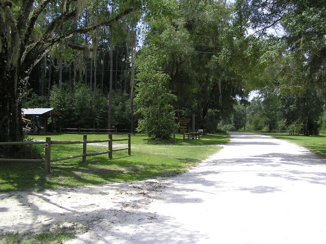 Tucker Hill Trailhead, Withlacoochee State Forest 2