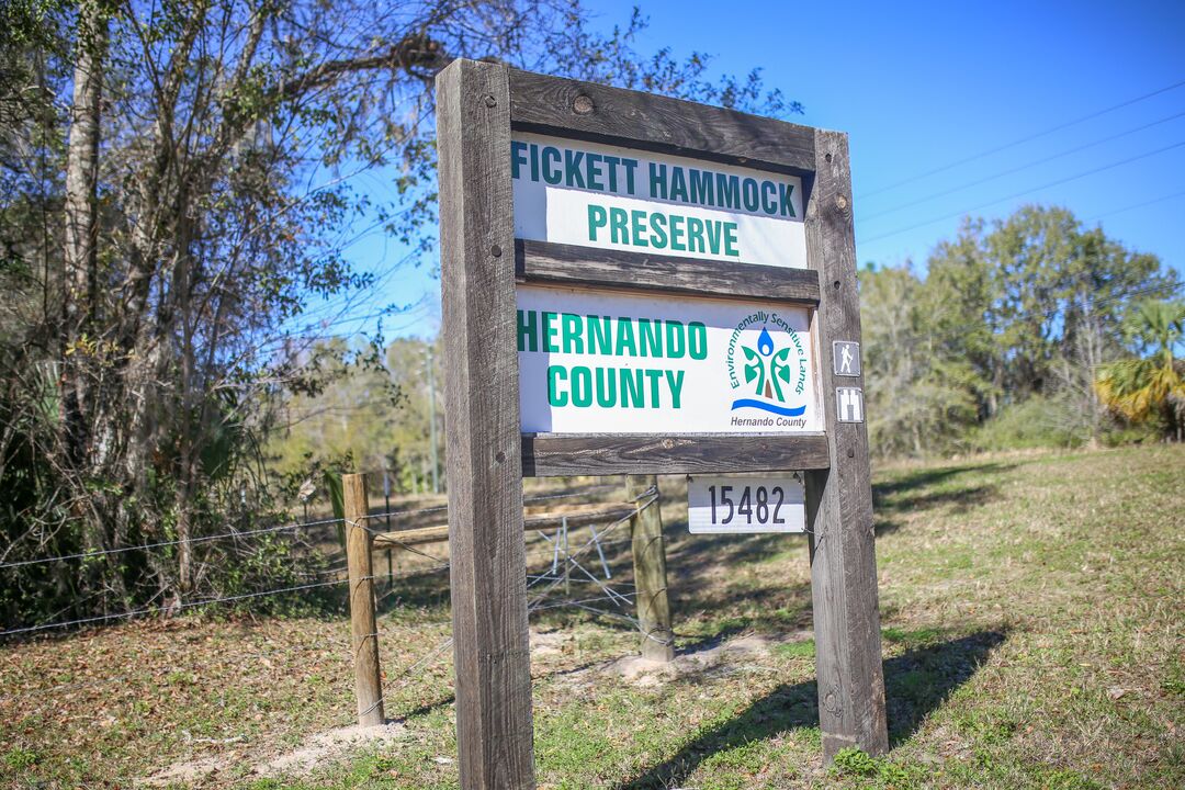 Fickett Hammock Preserve, Brooksville