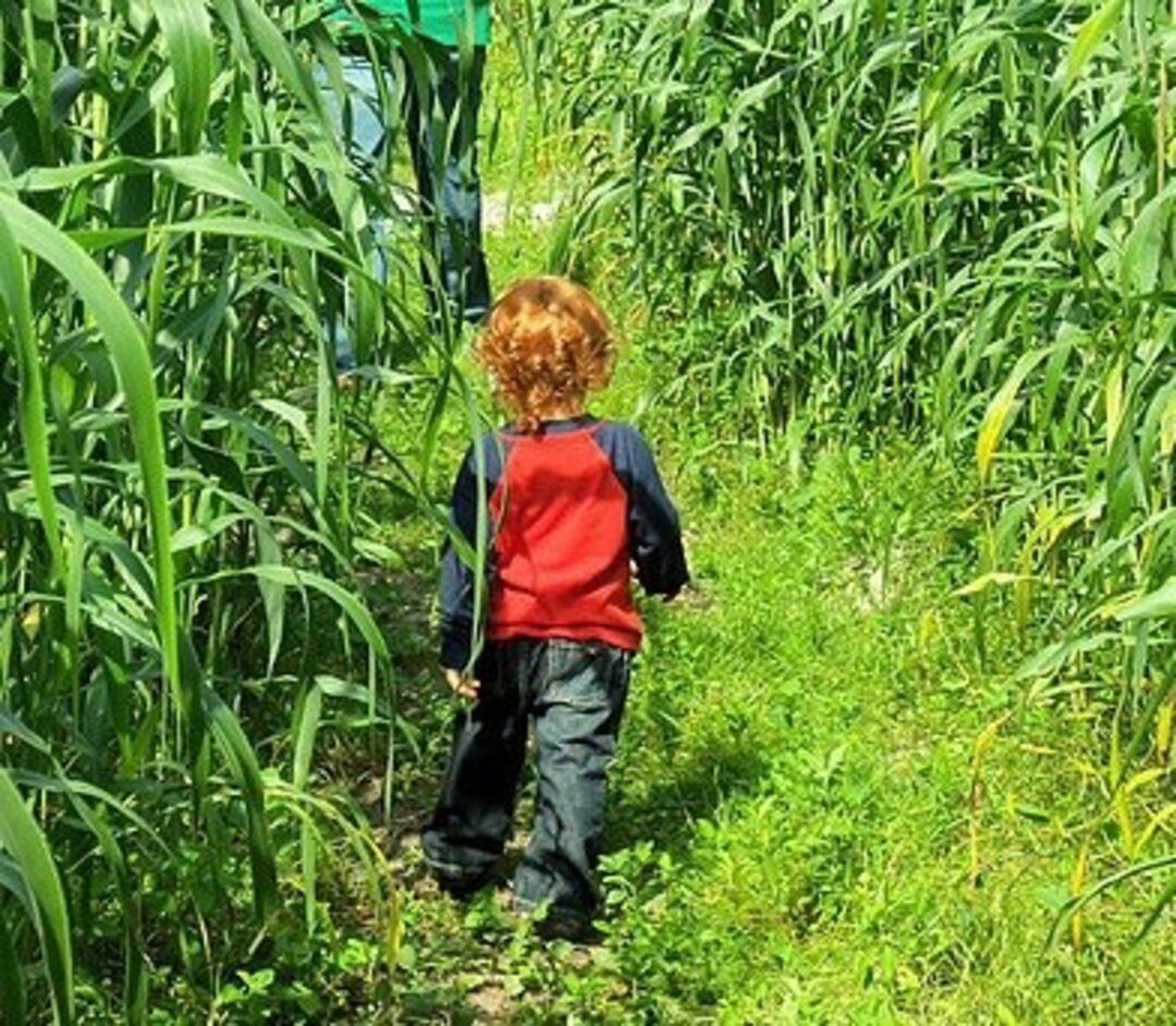 Little maze walker - Harvestmoon Fun Farm