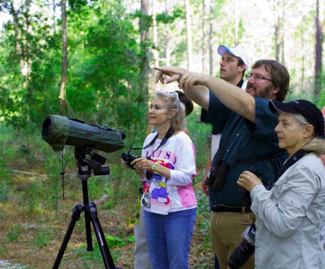 Birding