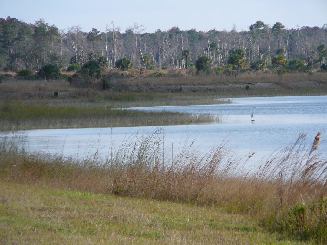 Weeki Wachee Preserve