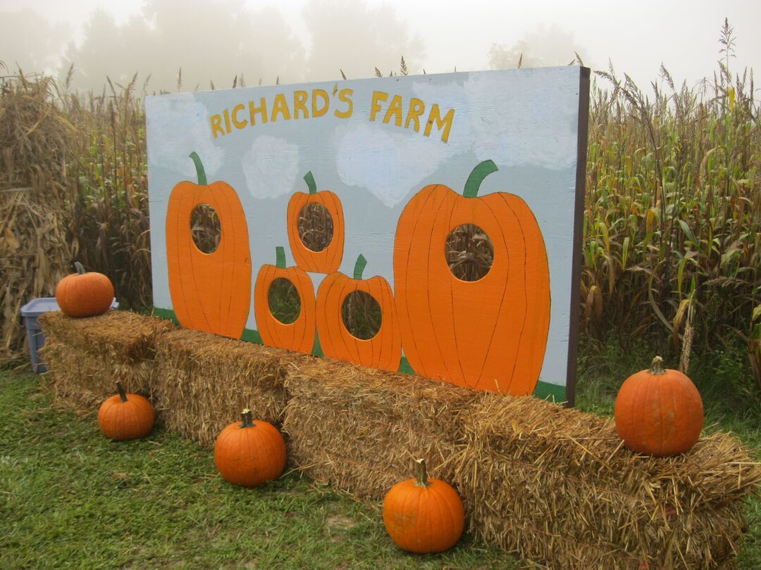 Richards Farm Maze 1