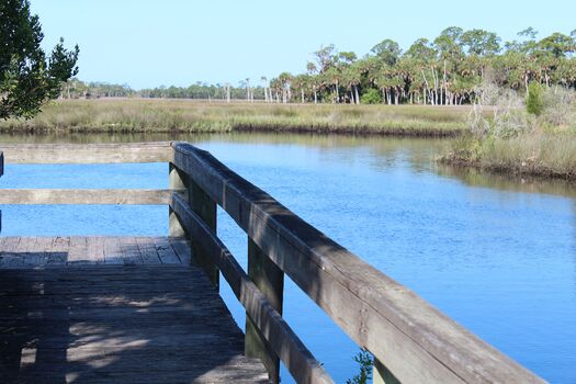 Jenkins Creek