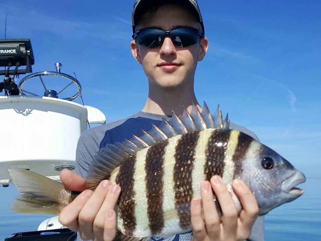 Sheepshead 2