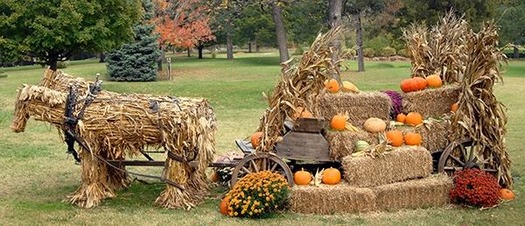 Fall on the farm - frazier