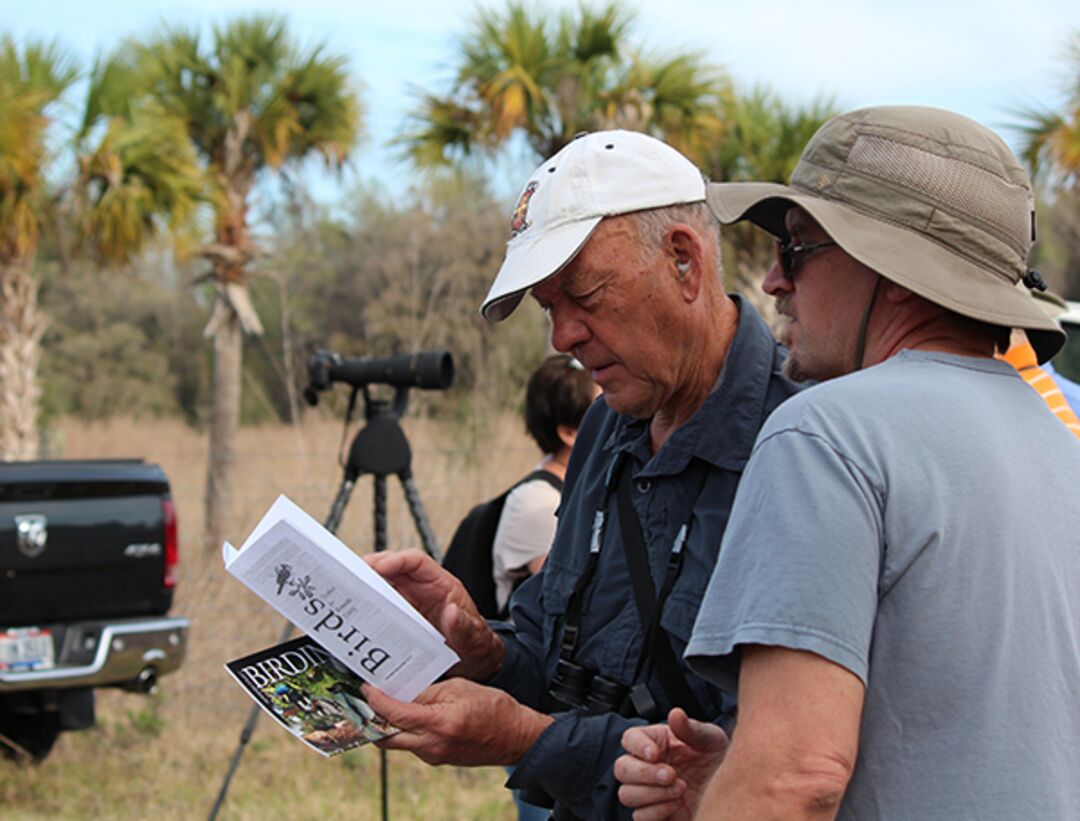 Birdwatchers consulting Hernando County Bird Guide, Florida's Adventure Coast