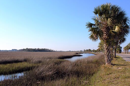 Coastal Scenic