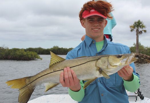 snook