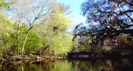 Withlacoochee River, Nobleton