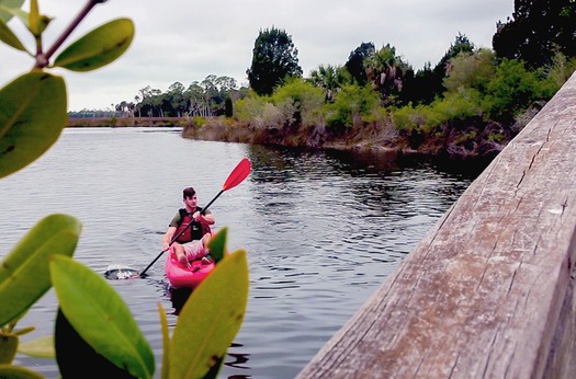 Kayak Jenkins Creek