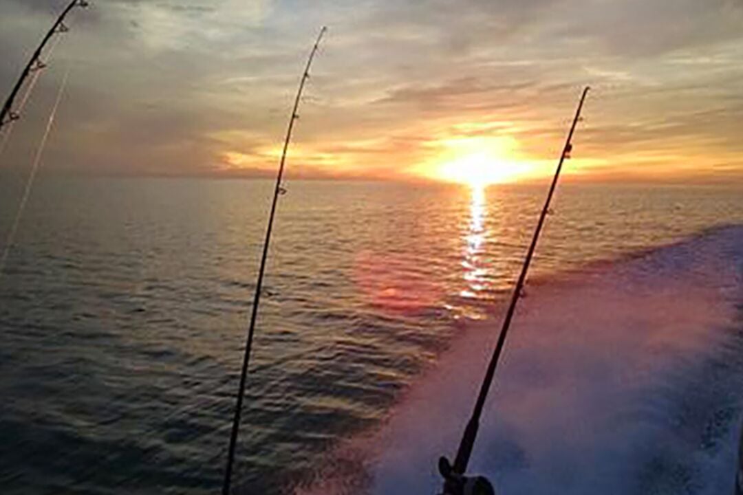 Fishing Rods Sunset