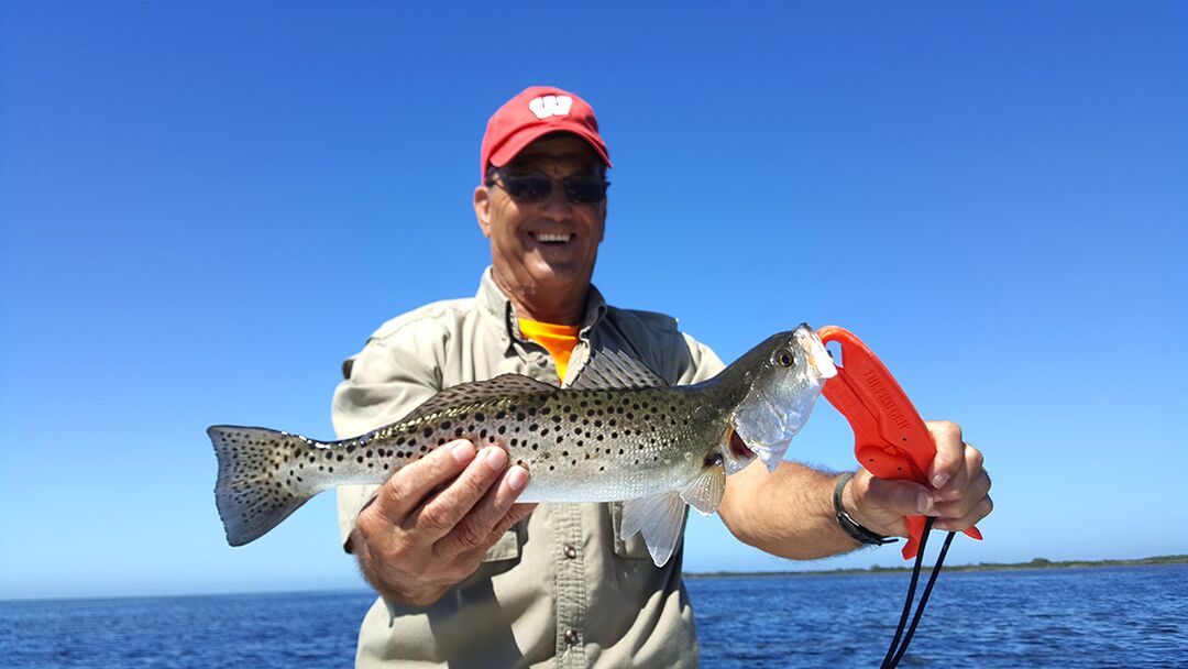 Spotted Fish