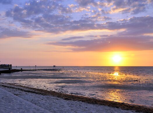 Pine Island