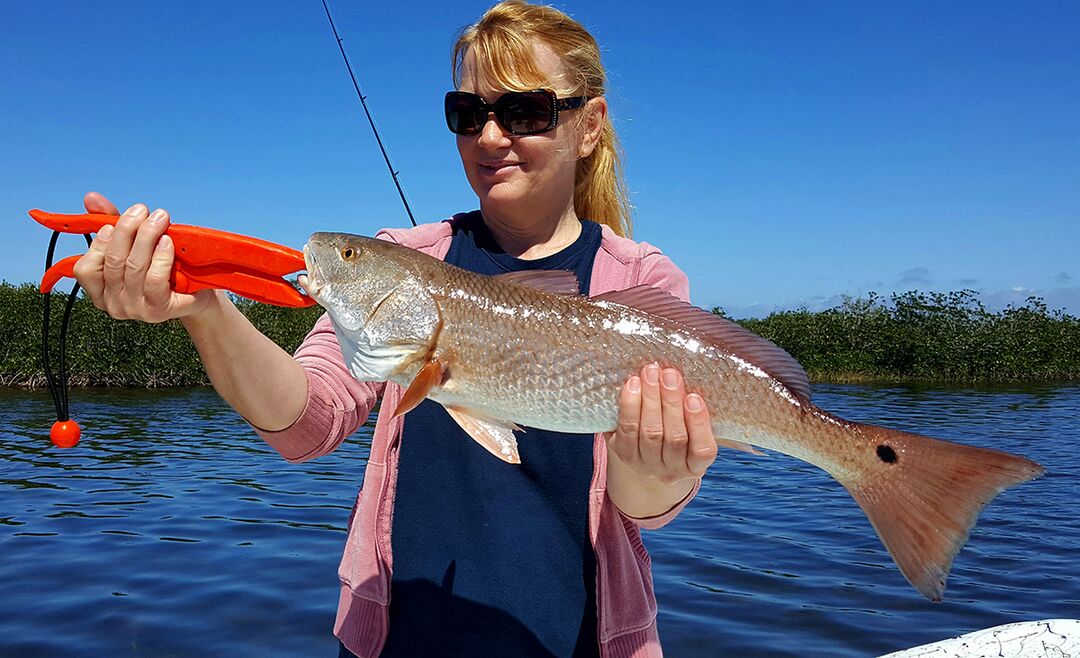 Redfish Lady 1
