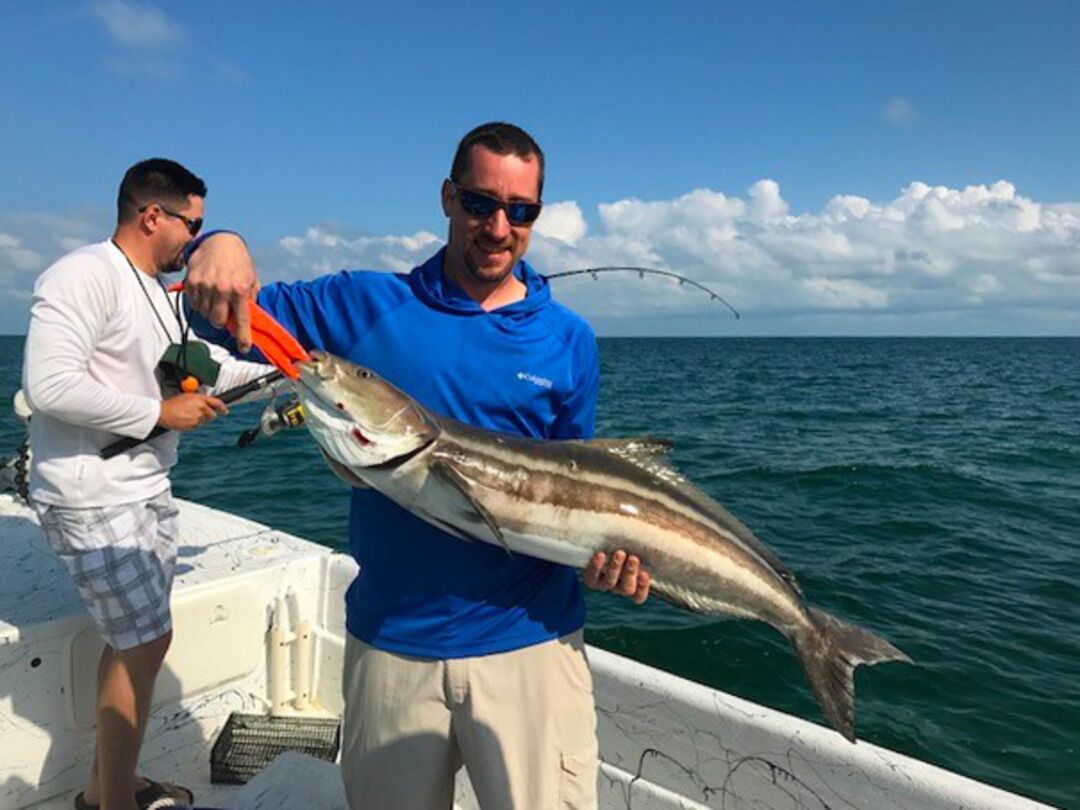 Cobia June