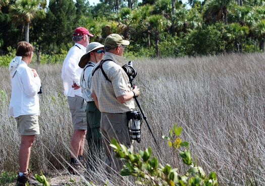 Birdwatchers field