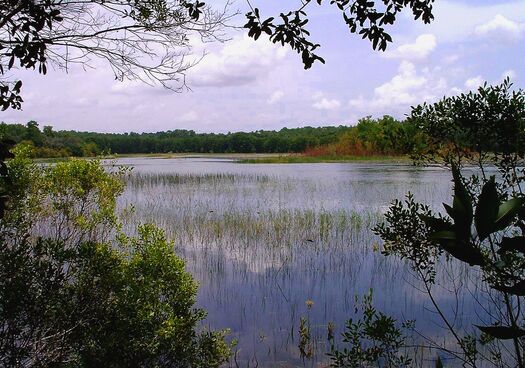 Photo 3 - Chinsegut Wetland