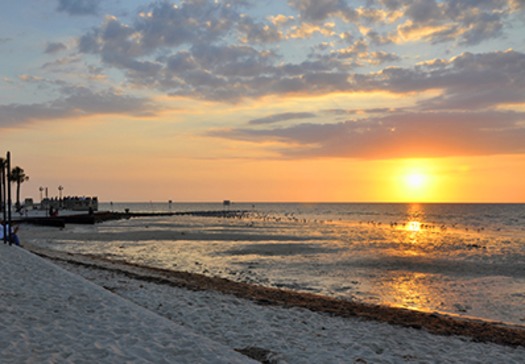 Pine Island from Ydrive