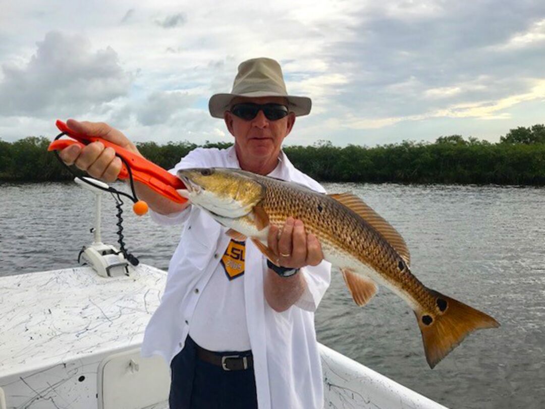 Redfish June