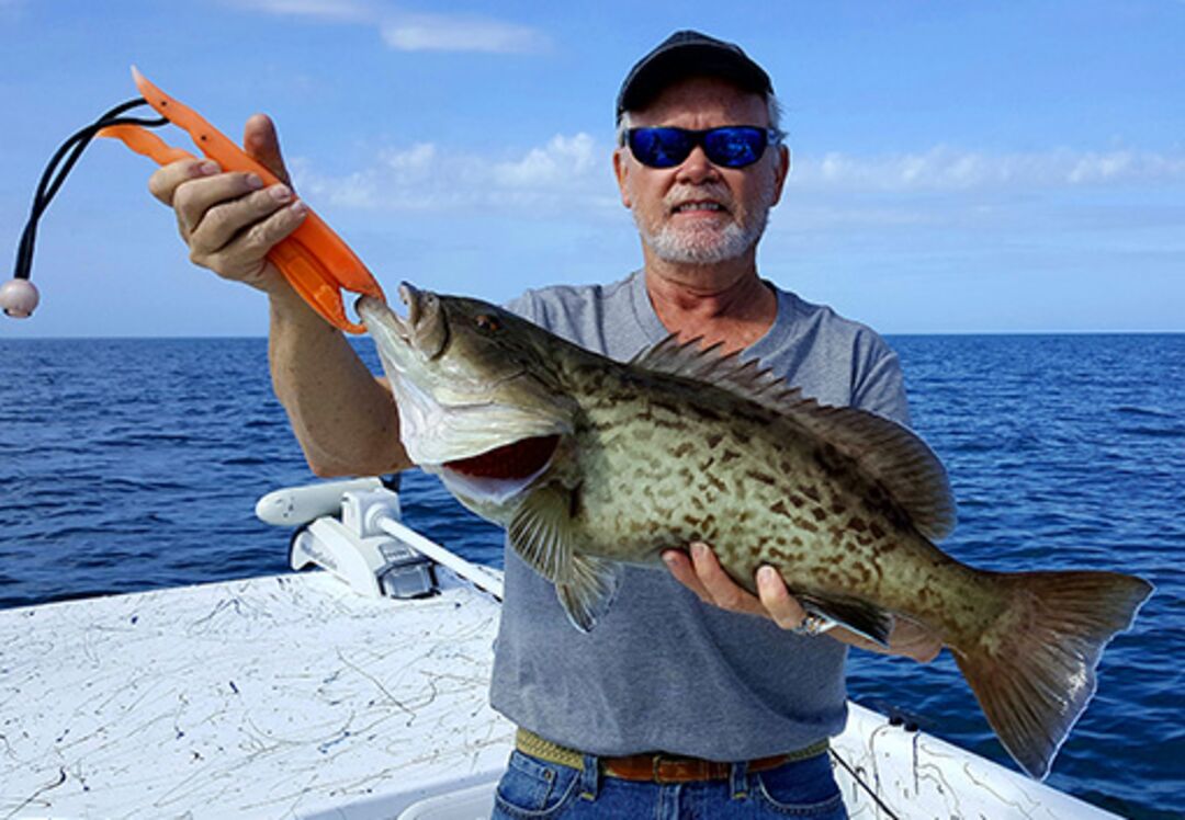 Fish Grouper 2