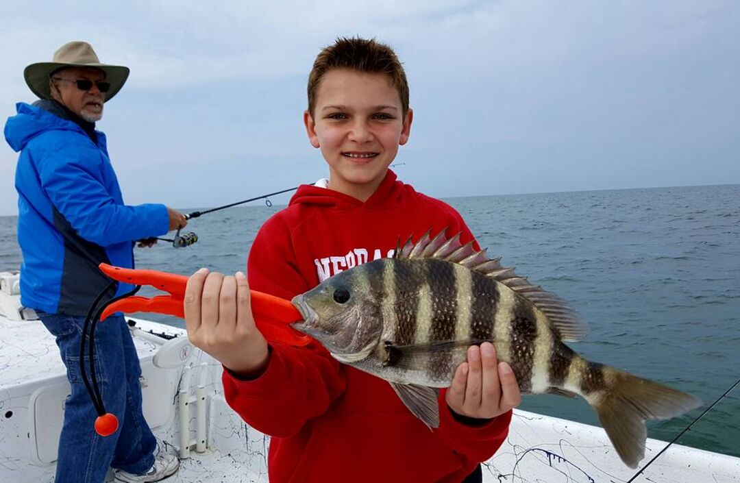 Sheepshead 3