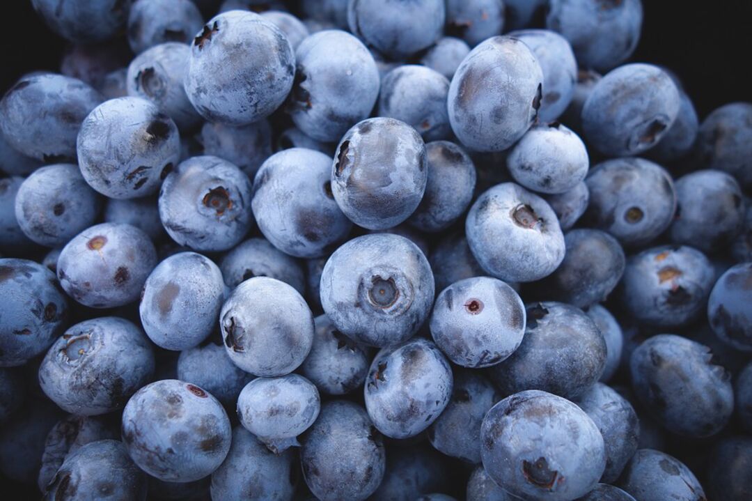 blueberries background