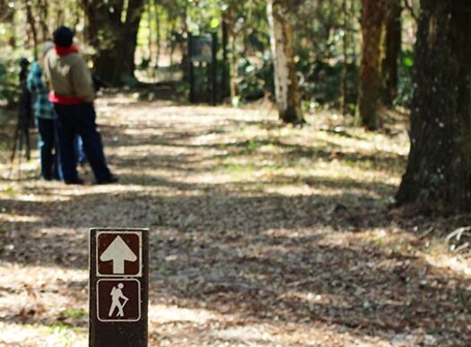 Hike Sign