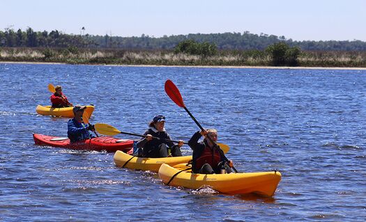 Kayakers  BP-LP Trail
