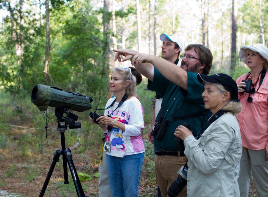 Bird Walk at Chinsegut Conservation Center