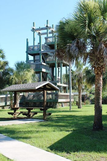 Linda Pederson Obs Tower 3