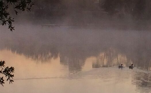 Ducks Lake Mist