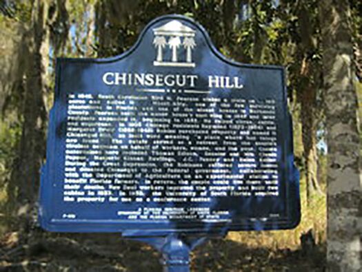 Chinsegut Hill Marker