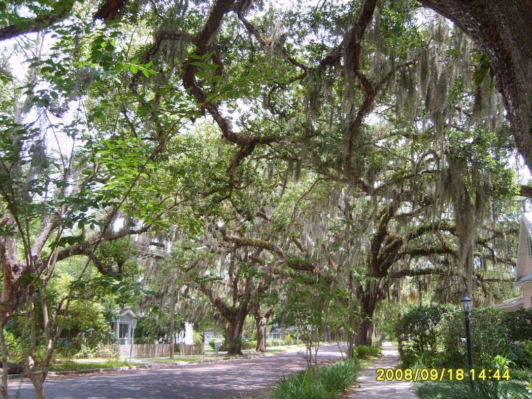 Brooksville Walking Tour-south side 034