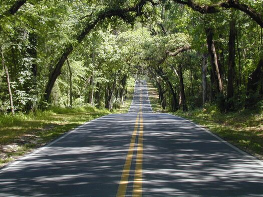 Canopied Roadway