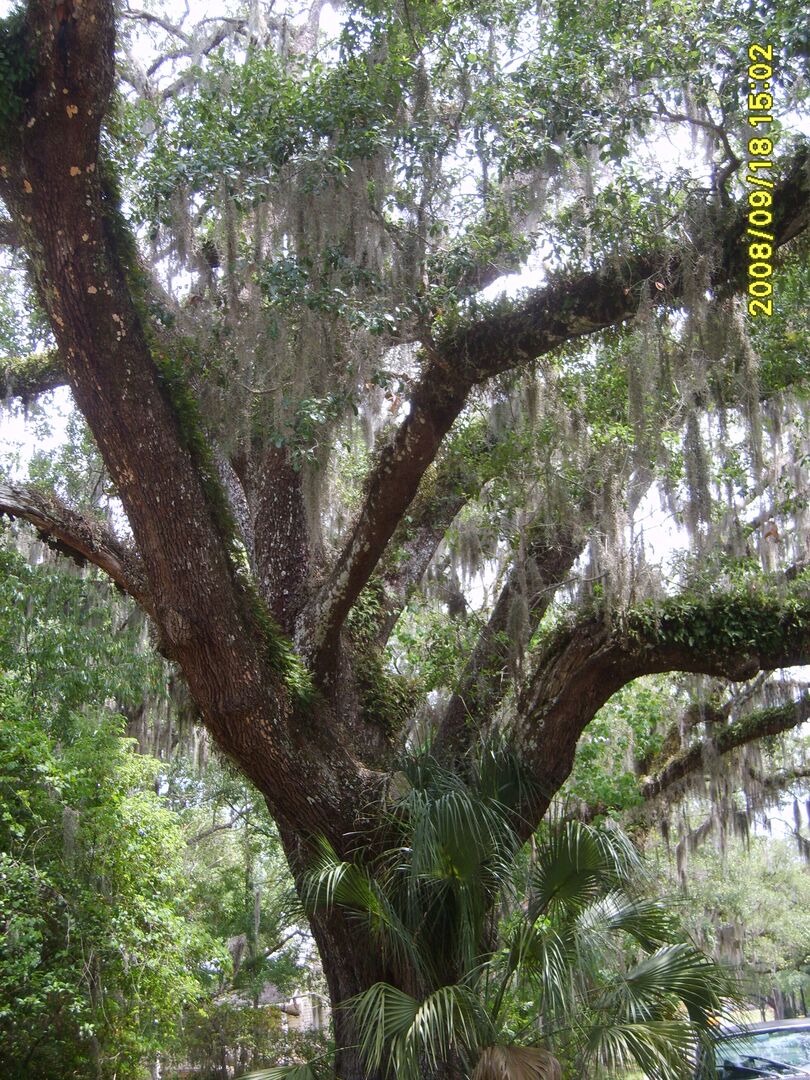 Brooksville Walking Tour-south side 054