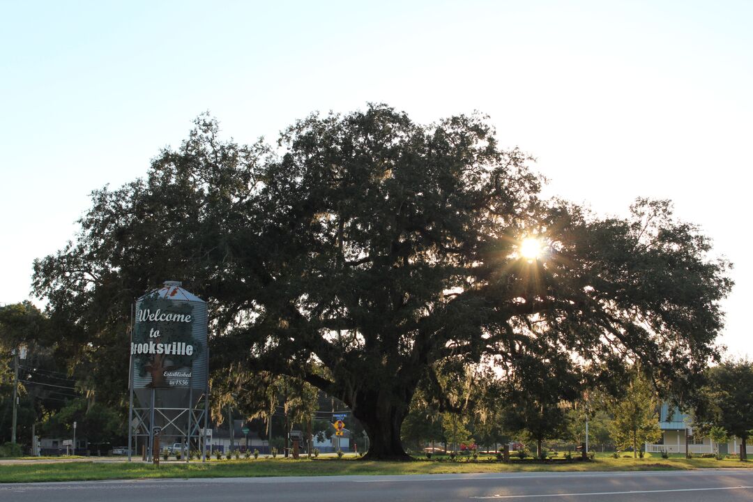 Grain Silo Welcome Sign, Brooksville