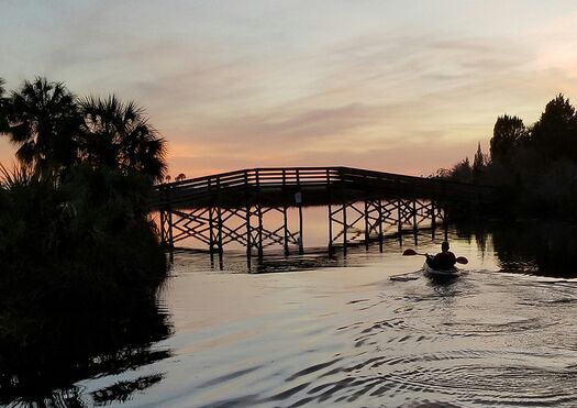 Kayak Jenkins Creek