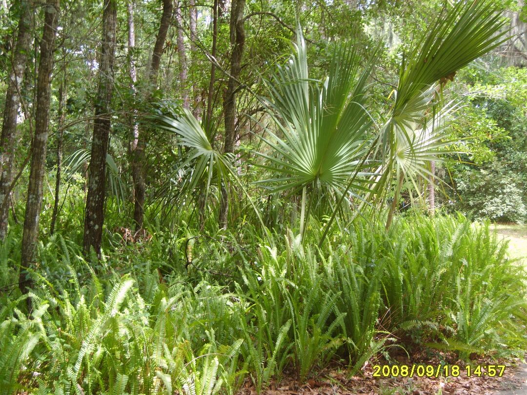 Brooksville Walking Tour-south side 048