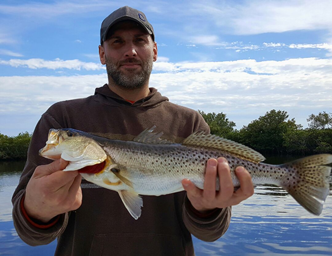 Spotted Sea Trout