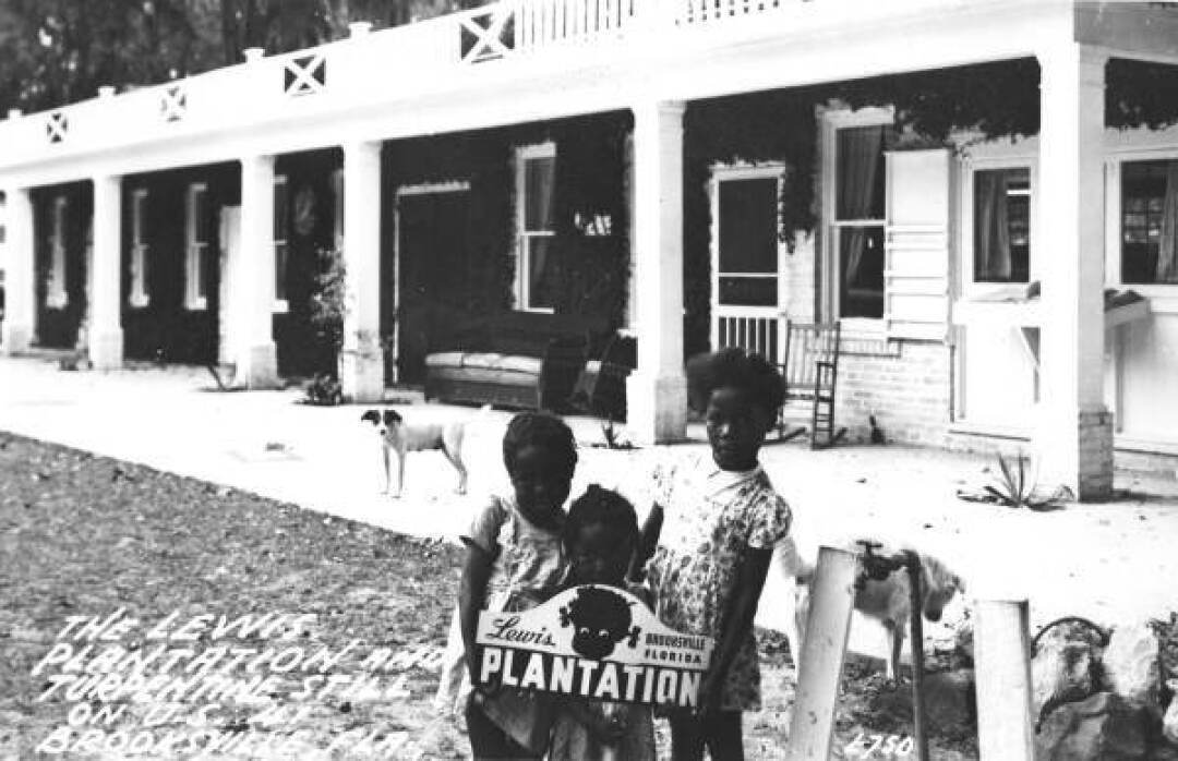 Lewis Plantation10