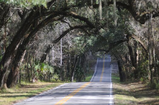 Canopied Roadway