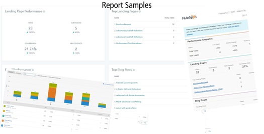 Report Samples