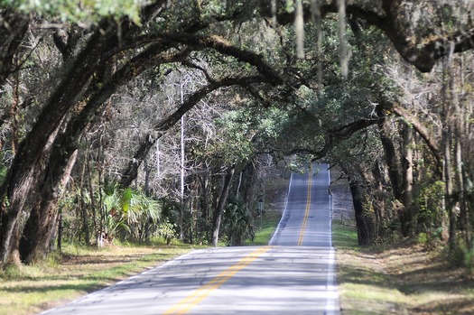 Canopied Roadway 2