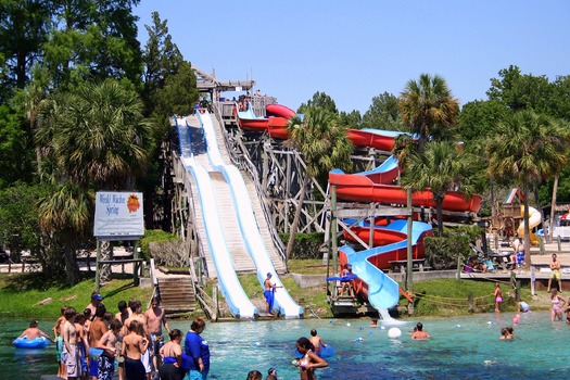 water slide buc bay