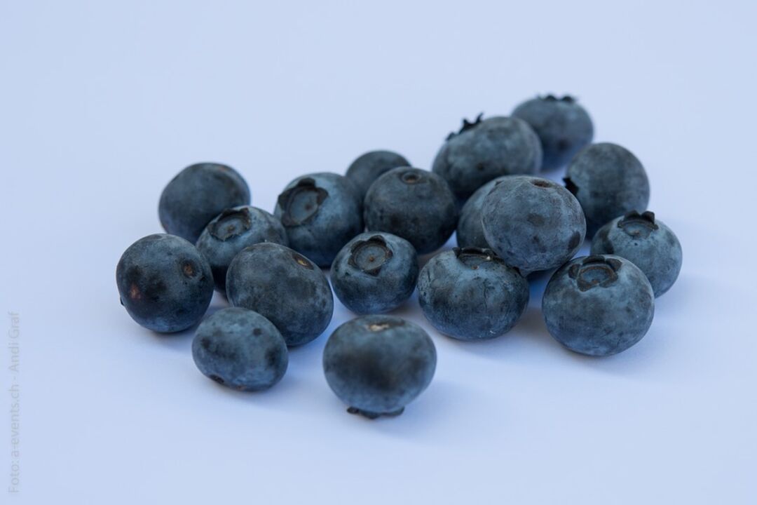 blueberries blue background