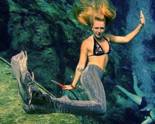 mermaid karri